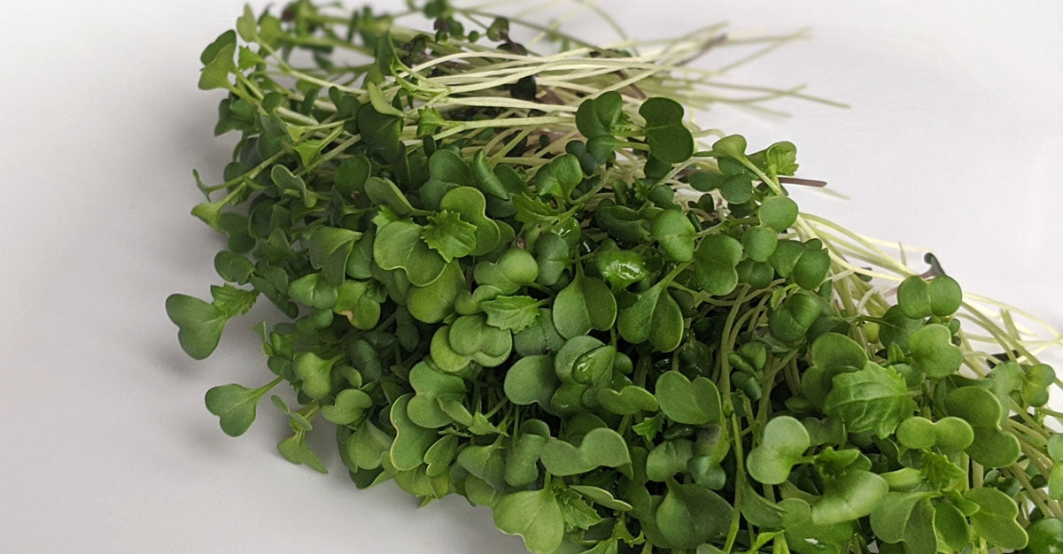 A true superfood