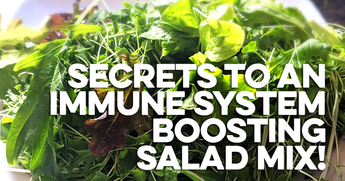 The immune system boosting salad mix